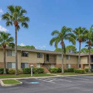 Florida rental property with palm trees, representing landlord-tenant relationships